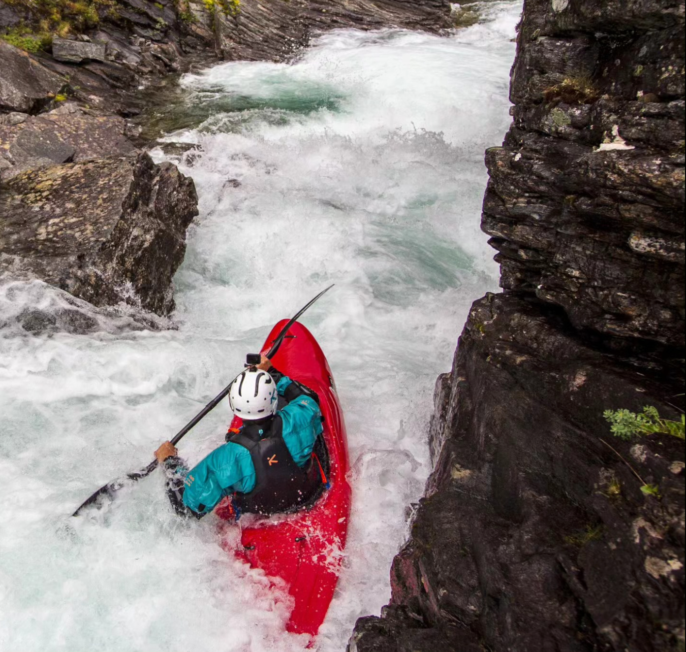 The Ninja - High Performance NextGen Creeker